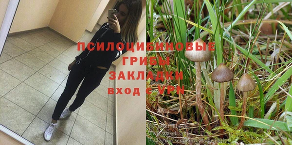 прущие крисы Абаза