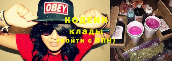 прущие крисы Абаза