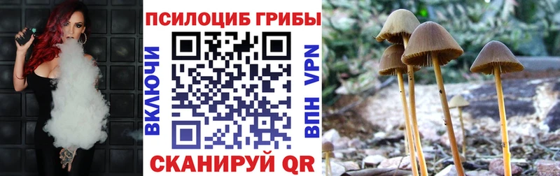 Галлюциногенные грибы Cubensis  Ханты-Мансийск 
